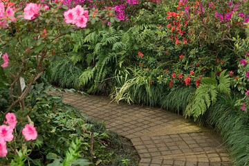 Path in the botanical garden, beautiful spring background, space for text