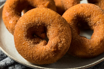 Homemade Sweet Apple Cider Donuts