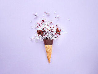 Cherry blossom in ice cream cone on lilac background.