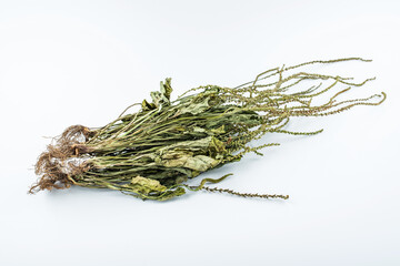 Chinese herbal medicine plantain dried on white background © Lili.Q