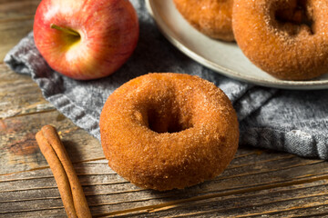 Homemade Sweet Apple Cider Donuts