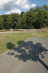 Baumschatten auf Asphalt