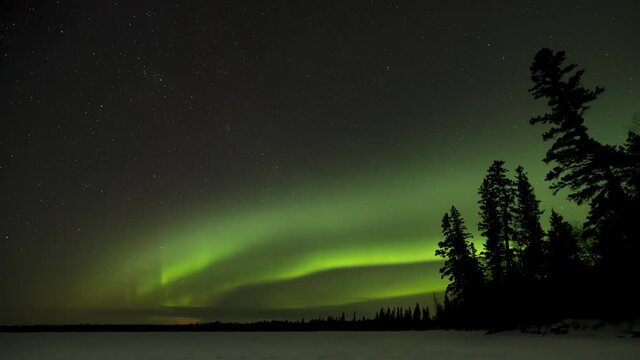 Time lapse of active green over a frozen snow-covered lake with silhouettes of tall spruce trees along the right side of the clip.  The stars slowly move across the sky.
