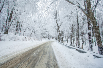 Fototapeta premium Road in Sabaduri forest with covered snow. Winter time