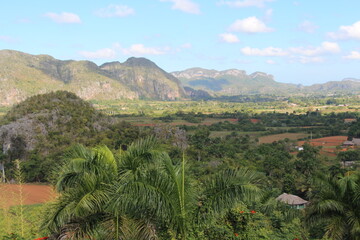 beautiful view in the vinales valley in cuba