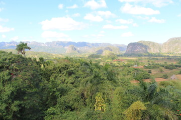 beautiful view in the vinales valley in cuba