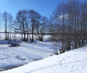 winter landscape with trees and snow on a blue sky background