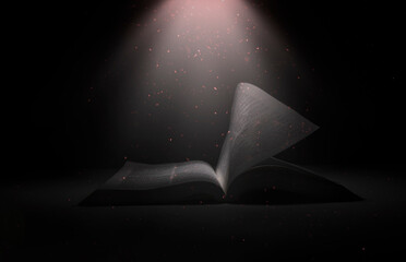 An open Bible on a table with light coming from above.