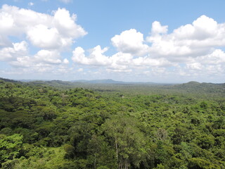 Obraz premium clouds over the rainforest