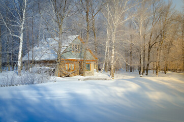 By the forest at the edge of a winter house.