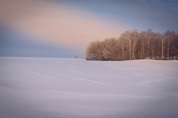 Snowy field with trees and clouds.