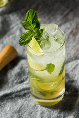 Boozy Refreshing Dark Rum Mojito Cocktail