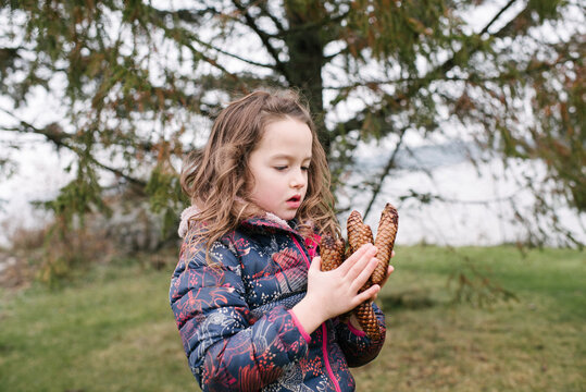Girl admiring collection of brown pine cones, Kingston, Ontario, Canada