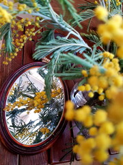 Mimosa bouquet on brown background