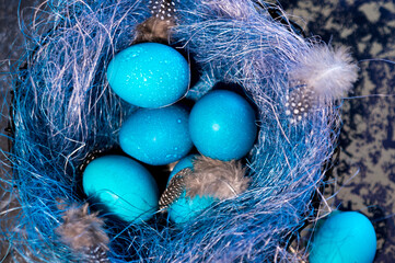 Fototapeta na wymiar Blue Easter eggs with twigs in a decorative nest