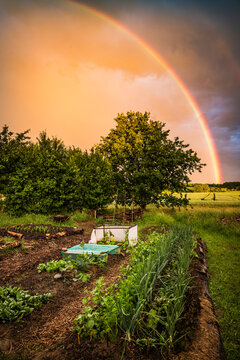 Rainbow over allotment