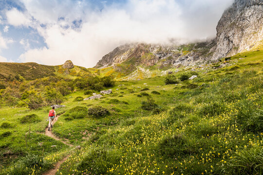 Hiker near Fuente De in national reserve Parque National de los Picos de Europa, Potes, Cantabria, Spain