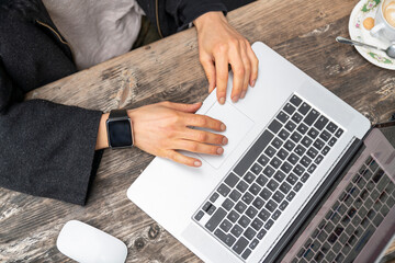 Female freelancer blogger using laptop