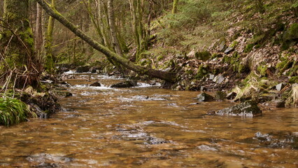 An der Prims bei Hermeskeil
