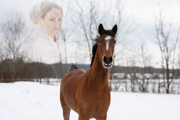 Ein hübsches,  braunes Pferd schauet nach Vorne und seine Besitzerin wie ein Geist, durchsichtig erscheint im Himmel