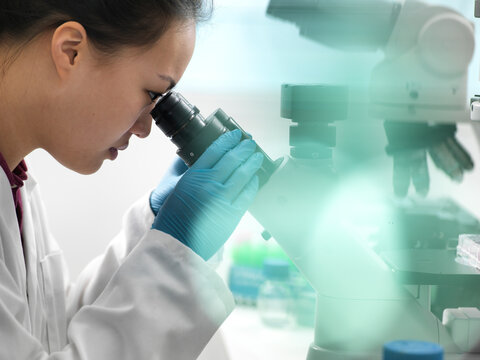 Scientist viewing sample through microscope during experiment in laboratory