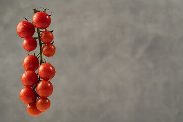 Branch of cherry tomatoes in drops of water on a grey background. Close up, copy space