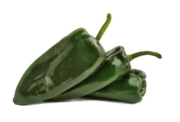 three  poblano peppers (Capsicum annuum) with copy space