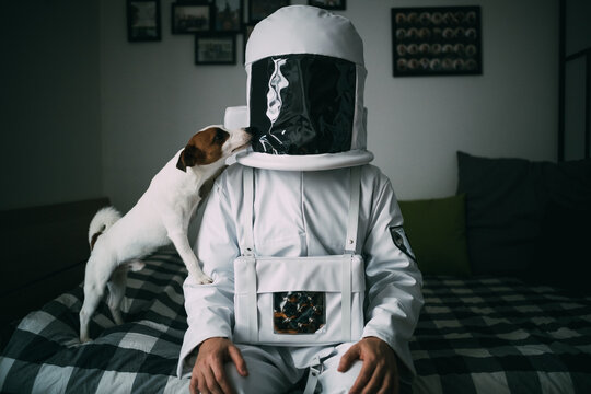 Pet dog licking astronaut on bed