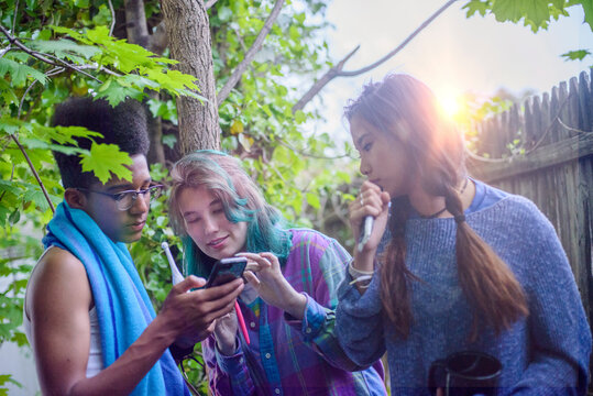 Three male and female teenagers in garden looking at smartphone