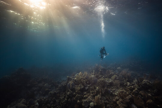 Male underwater photographer looking down toward sea bed, Exuma, Bahamas