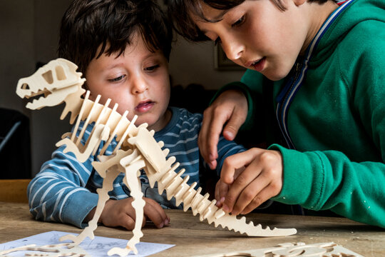 Boy showing brother way to build wooden dinosaur
