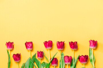 Red tulip flowers bouquet on yellow background. Flat lay, top view. Banner with spring flowers.