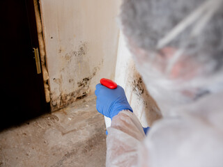 A woman in a protective suit, using a spray gun to spray the affected walls with mold.