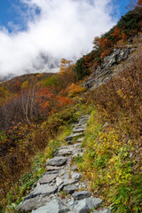 松本市安曇の標高2,300mの日本最大規模の氷河圏谷、涸沢カールの紅葉、黄葉の石畳の登山道。