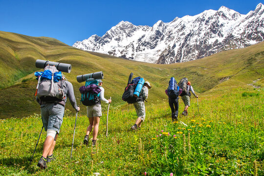 A group of tourists with large backpacks climbs the grassy slope overlooking the snow-capped peaks in the Caucasus Mountains Georgia Svaneti