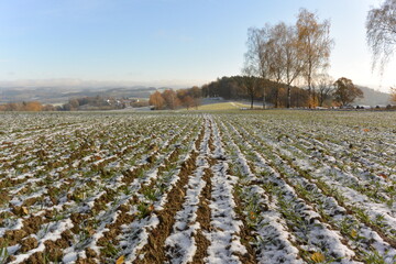 field with snow