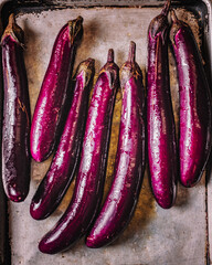 Japanese eggplant