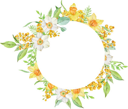 Watercolor circle frame with yellow spring flowers. Daffodils and mimosa branches template. Mother's Day card