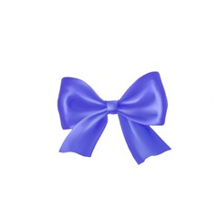 beautiful bow for present and holiday design