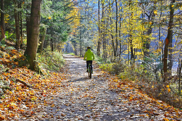 The woman is riding a bicycle in autumn forest along Dunajec river, Pieniny mountains