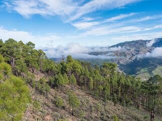 Scenic view from top of Tamadaba natural park with green hills, forest mountains and dam lake. Gran Canaria, Canary Islands, Spain