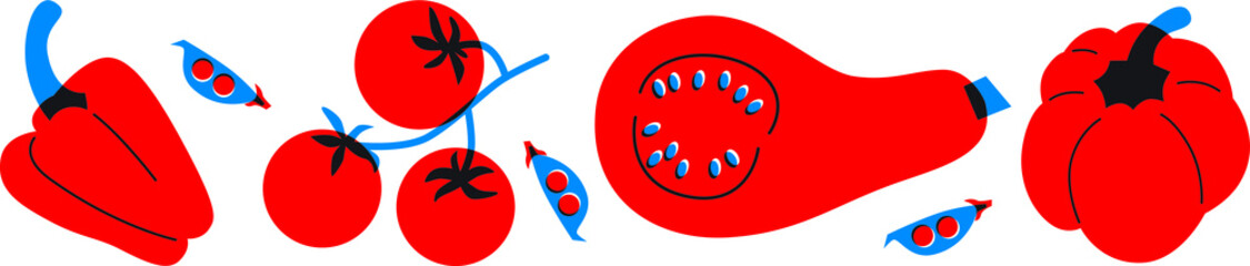 Vegetables pumpkin, pepper, tomato cartoon flat style. Abstract set vegetables for your design. Can be use for restaurants menu, cover, packaging. Horizontal banner veggies set.