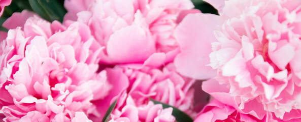 Natural holiday wallpaper background. Delicate flower petals. Spring