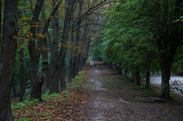 Shady alleys in an autumn park in the city of Kamyanets-Podolsky