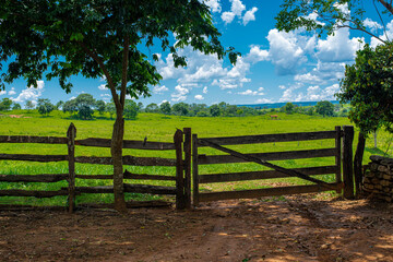 Wooden fence and old farm gate in the nature background