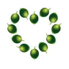 Fruit frame in the shape of a heart with limes on a white background. Illustration with fruits for printing, textiles, paper, postcards