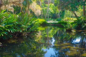 Obraz premium USA, Florida. Washington Oaks Gardens State Park pond.