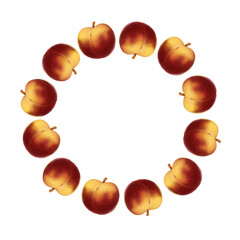 Round frame with peaches on a white background. Pattern with textural summer fruits for paper and textile