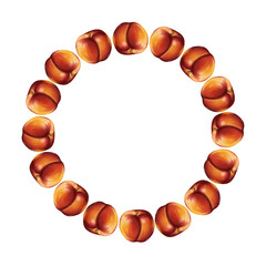Round summer frame with nectarines on a white background. Illustration with fruits for printing, textiles, paper, postcards