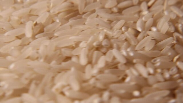 Macro shot of a large amount of small white rice spinning on a plate. Healthy food concept